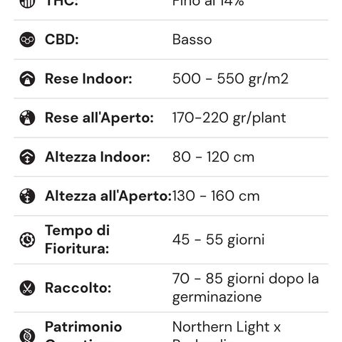 Northern Light Automatic #1 growlog timeline photo