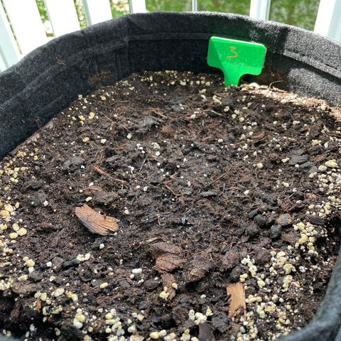 Fat Banana Automatic 3 growlog timeline photo