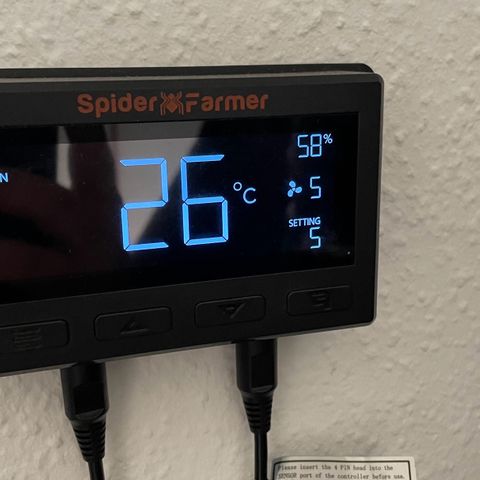 Sweet ZZ (RQS) growlog timeline photo