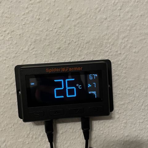 Sweet ZZ (RQS) growlog timeline photo