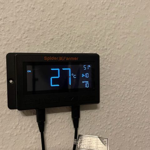 Sweet ZZ (RQS) growlog timeline photo