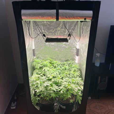 Girls growlog timeline photo