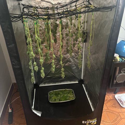 Girls growlog timeline photo