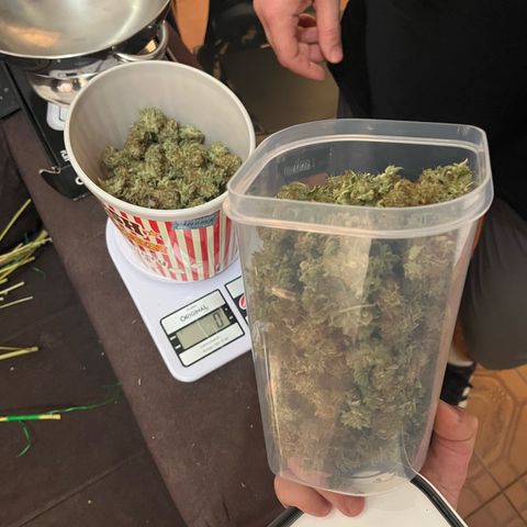 Girls growlog timeline photo