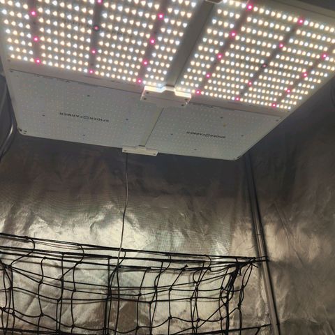 T1000 #2 growlog photo: Went to move the girls into a bigger tent and noticed one of my drivers failed :(