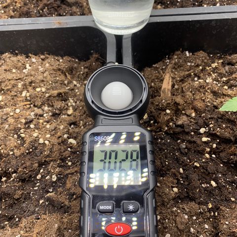 Super Skunk Automatic growlog photo: Lux : 30200

Lampe 42cm 