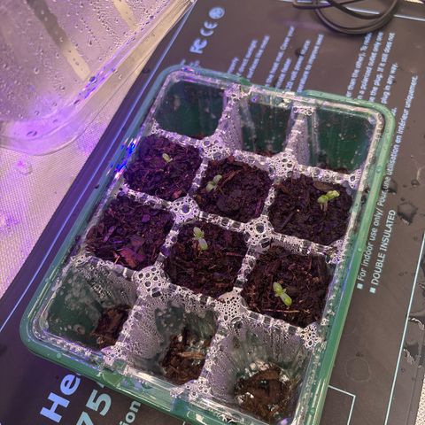 Push OG growlog timeline photo