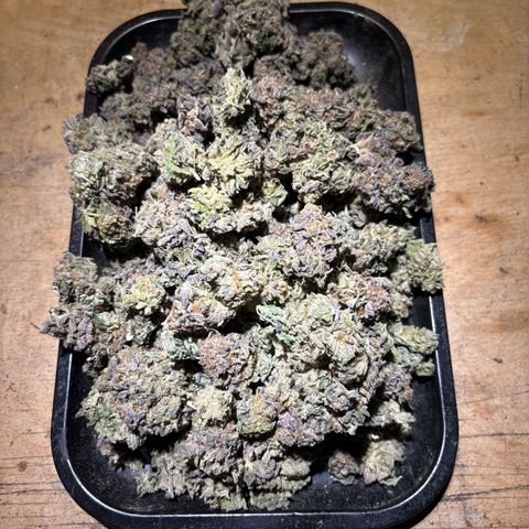 Push OG growlog timeline photo