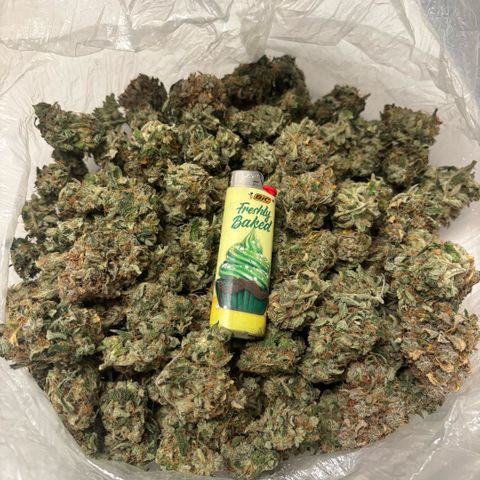 Blue cheese auto growlog timeline photo