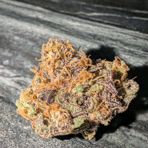Frosty's Purple Freak  growlog timeline photo