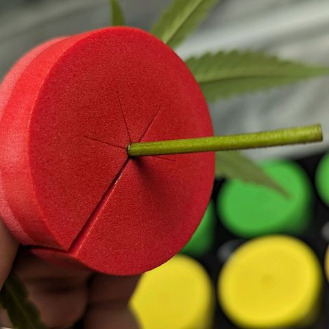Ceecee growlog timeline photo