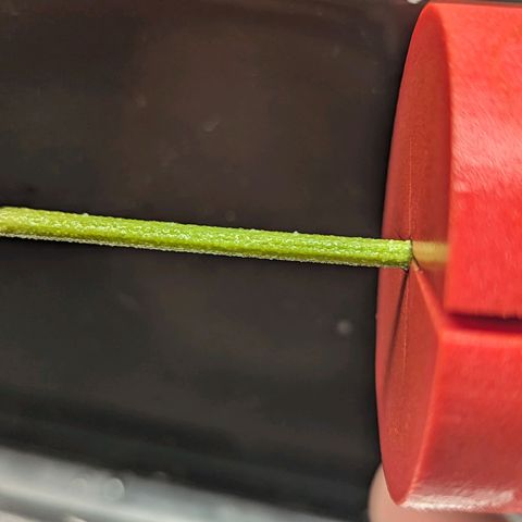 Ceecee growlog photo: Root spots! Was gone for a few days so uploaded the average temps/rh.