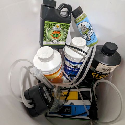 Ceecee growlog timeline photo