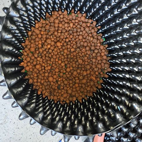 Membrana growlog timeline photo