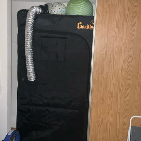 OG Kush x1 Thrist Trap x2 growlog timeline photo