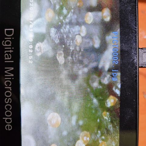 Maxi gom growlog timeline photo