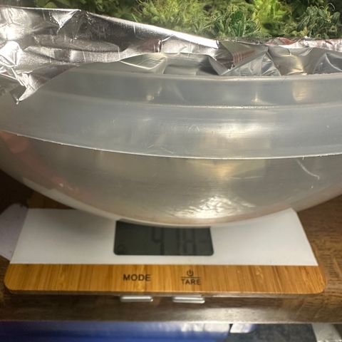 Watermelon Zkittlez Auto growlog timeline photo