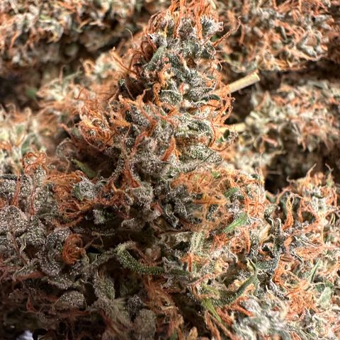 Lemon Haze Auto growlog timeline photo