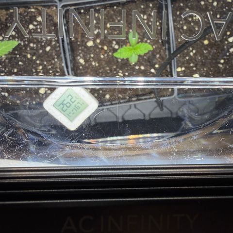 AK 47 growlog timeline photo