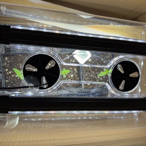 AK 47 growlog timeline photo