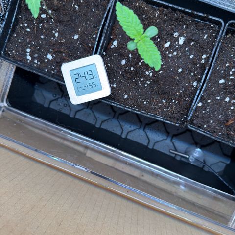 AK 47 growlog timeline photo