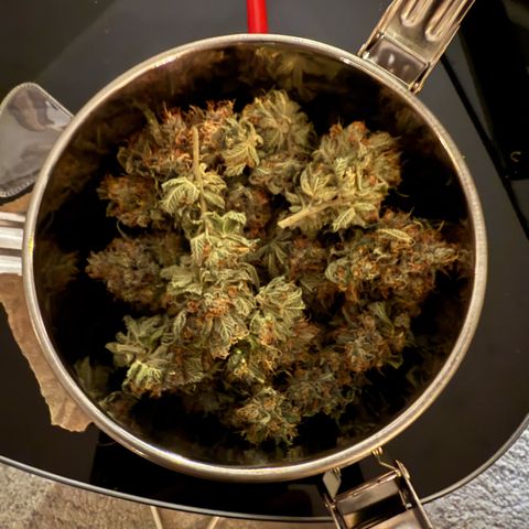 Tropicanna Banana growlog photo: Final weight 110 G. Dry buds.