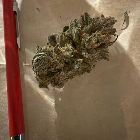 AK 47 growlog timeline photo