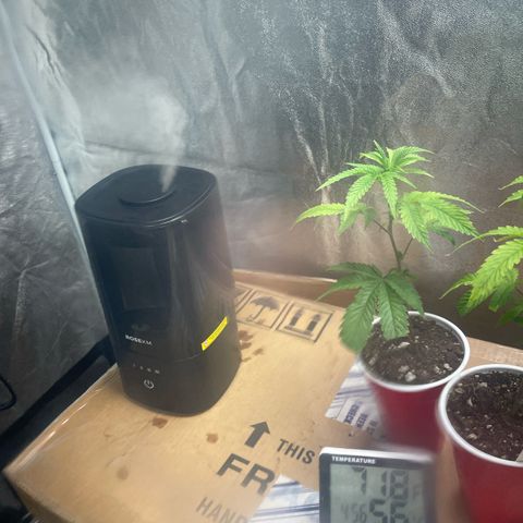 Ice cream cake number 1 growlog timeline photo