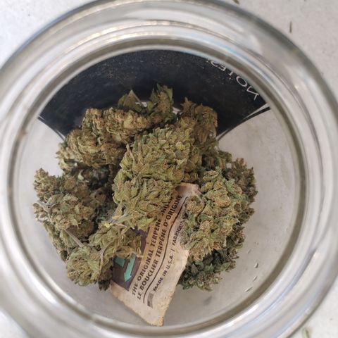 Super Cheese clones growlog timeline photo