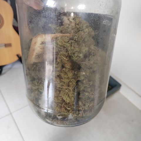 Super Cheese clones growlog timeline photo