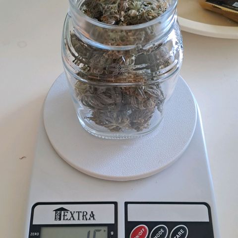 Lebrona growlog timeline photo