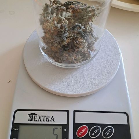 Lebrona growlog timeline photo