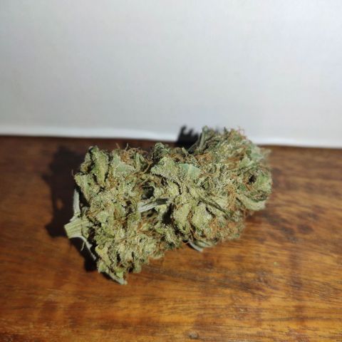 Red Sugar Auto growlog timeline photo