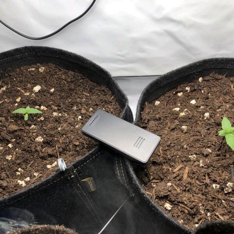 Shogun growlog timeline photo