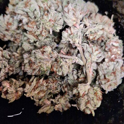 Grease Monkey (Feminisiert) growlog photo: Erste Hälfte: 11,29g
Bei 41% - 19,8°C
(Zu schnell getrocknet)