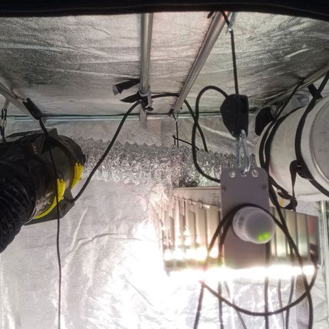 AK 420 growlog timeline photo