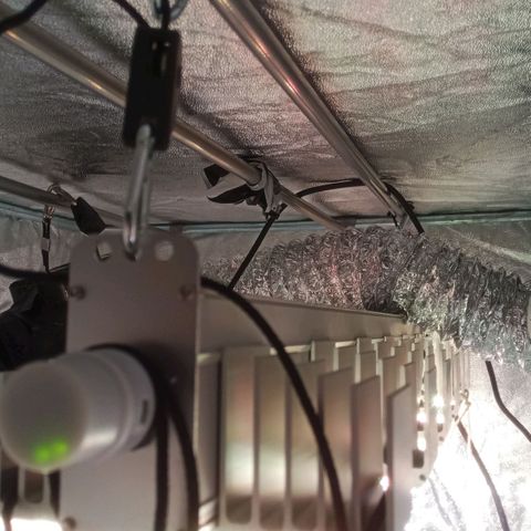 AK 420 growlog photo: Ende Gelände....