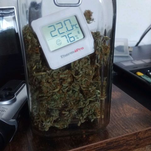 Gelato Auto #2 growlog timeline photo