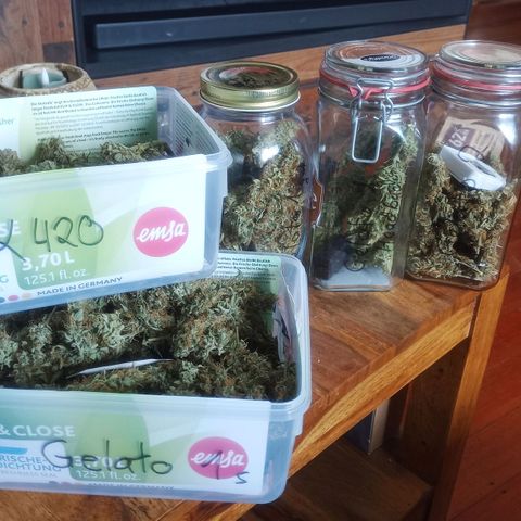 AK 420 growlog timeline photo