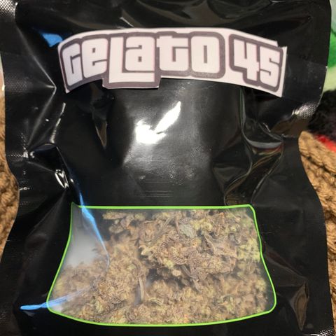 Gelato 45 growlog timeline photo