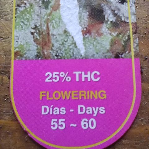 D.Maria I  growlog timeline photo
