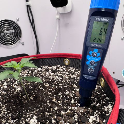 A-GC growlog photo: Calibrated this soil pH meter, then took a reading, pH 6.4. If this is accurate my flush may have got the pH under control…
