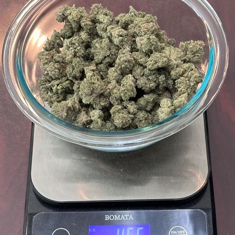 T2-SW growlog timeline photo