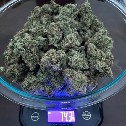 A-GC growlog timeline photo