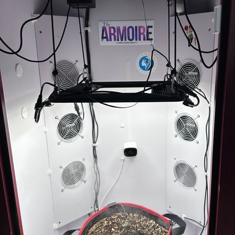 A-TT growlog timeline photo
