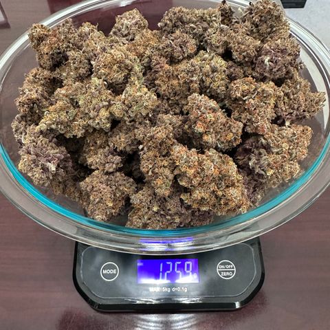 A-TT growlog timeline photo
