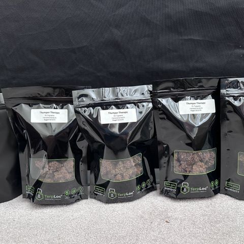 A-TT growlog timeline photo
