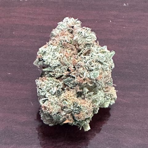 T1-GG4S growlog photo: Dried weight, 115 gms, a little disappointing, but she produced some nice dense nugs. Had to try one of course and it seems pretty good. Looking forward to checking her out after a good cure… 🌱😎