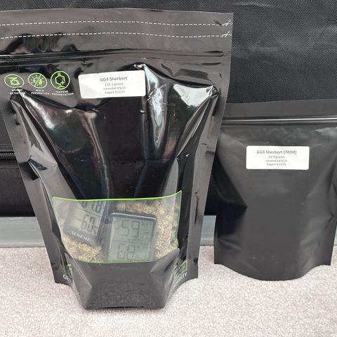 T1-GG4S growlog timeline photo
