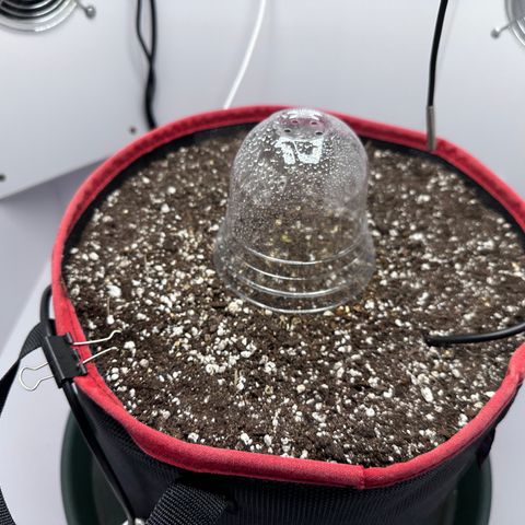 A-AAK47 growlog photo: D1
